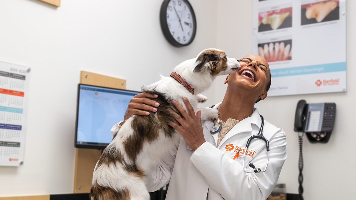 Best Vet Hospital In Palm Desert, CA