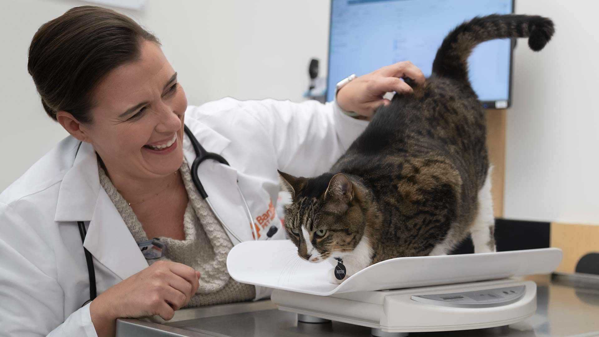 Banfield emergency pet deals care