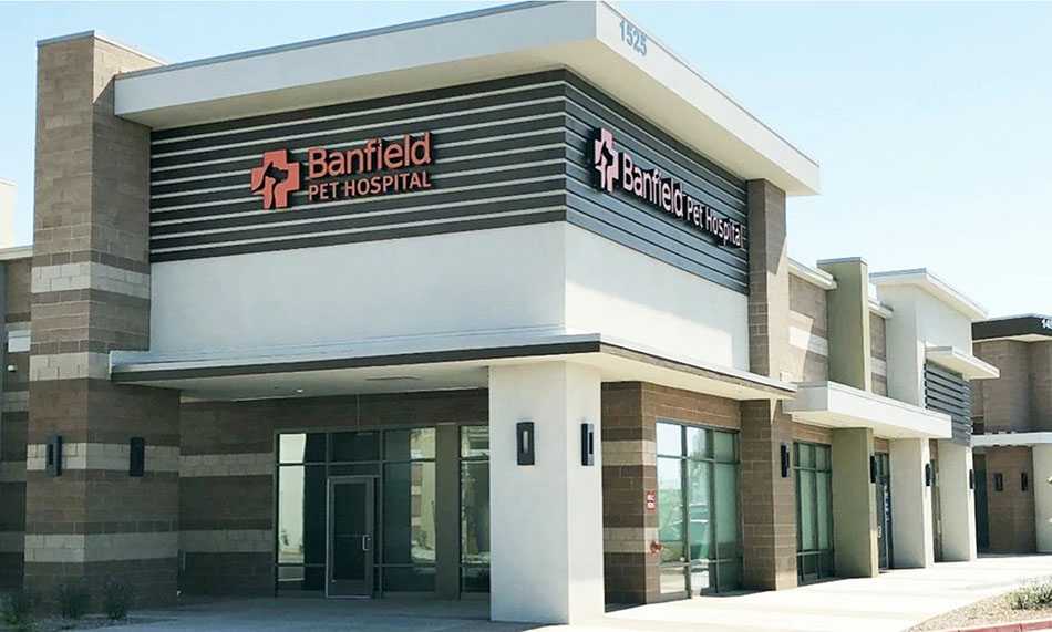 Porter pet hospital near me cheap