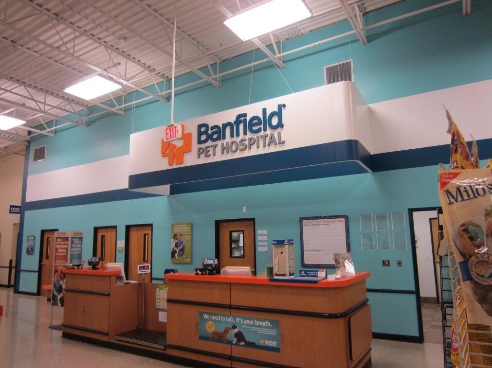 Banfield Pet Hospital: Queen Creek front desk
