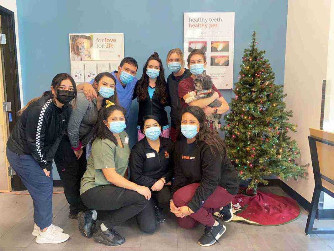 A group of Banfield Associates at the Banfield Pet Hospital