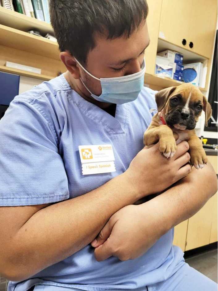 A young male veterinarian holding a puppy at the Banfield Pet Hospital