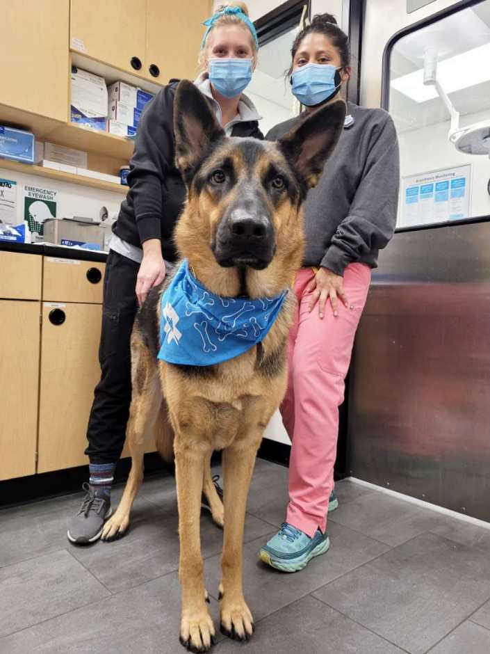 A dog wearing a bandana and its two young female owners at the Banfield Pet Hospital