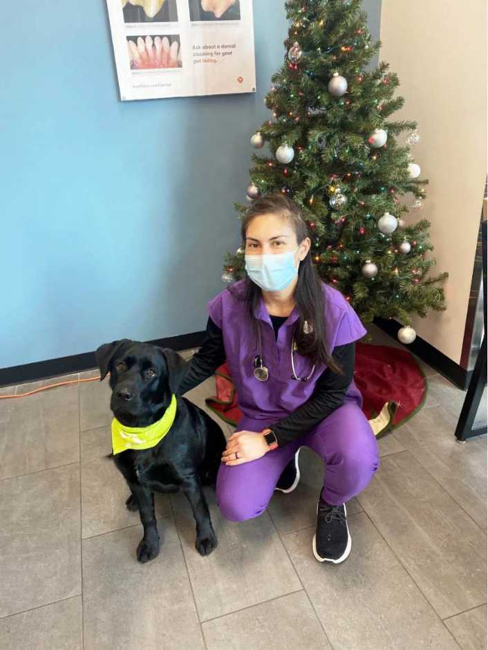 A black dog and its owner at the Banfield Pet Hospital