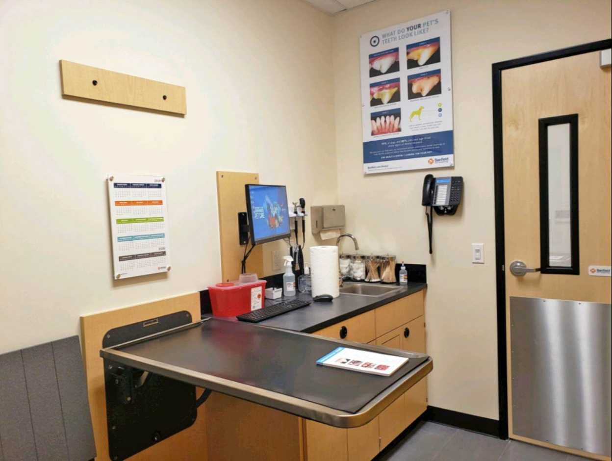 Exam room of Banfield Pacifica