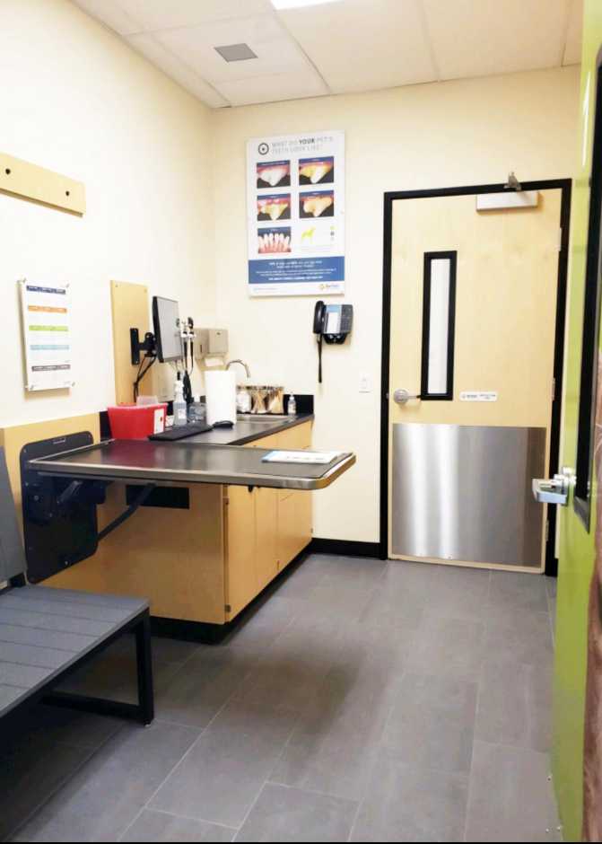 Exam room of Banfield Pacifica location