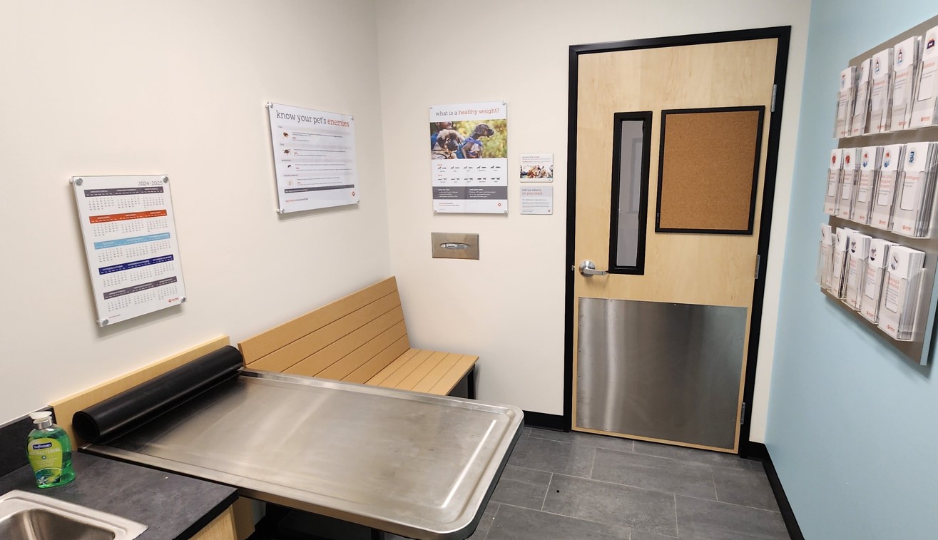 Inside of a Banfield exam room