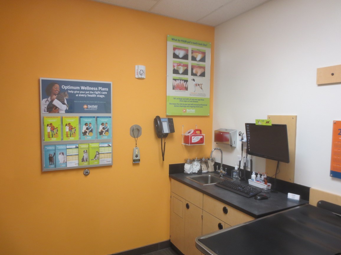 Willow Grove exam room