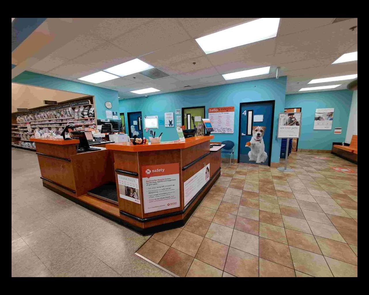 Banfield Pet Hospital Spay Cost