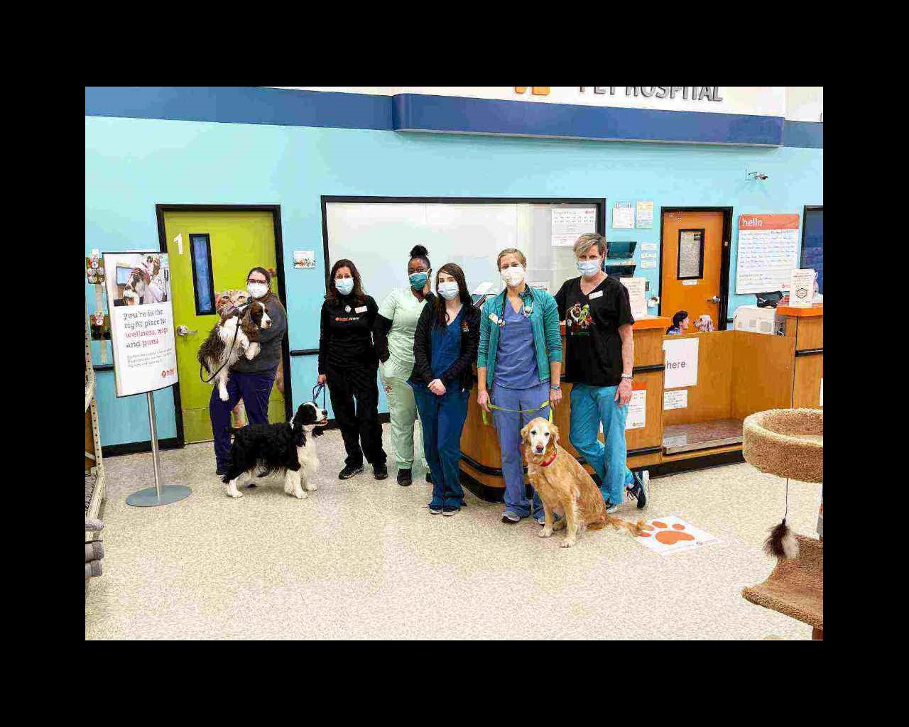Veterinarians in Glendale, CO Veterinarians in Glendale, CO