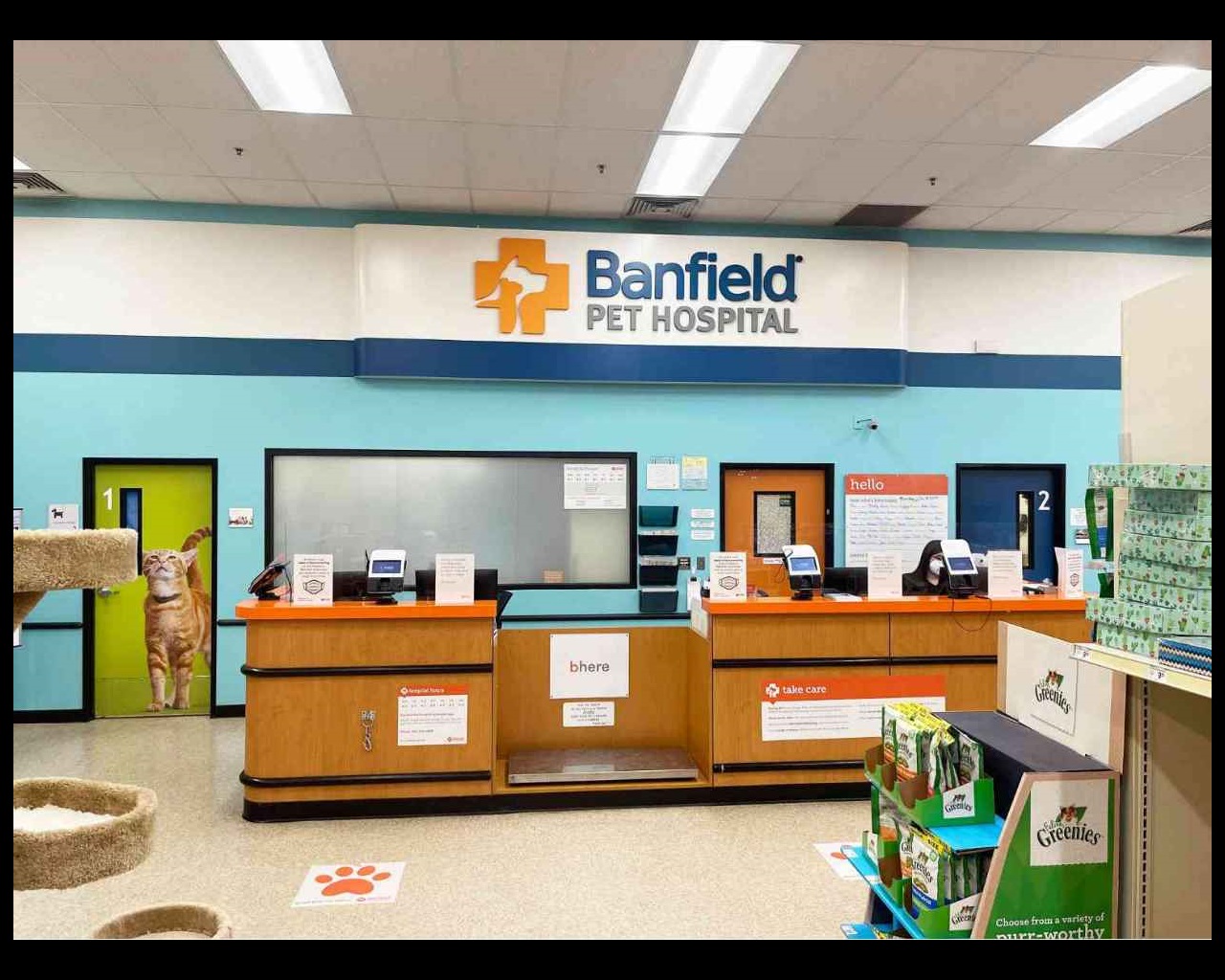 banfield pet hospital office visit cost