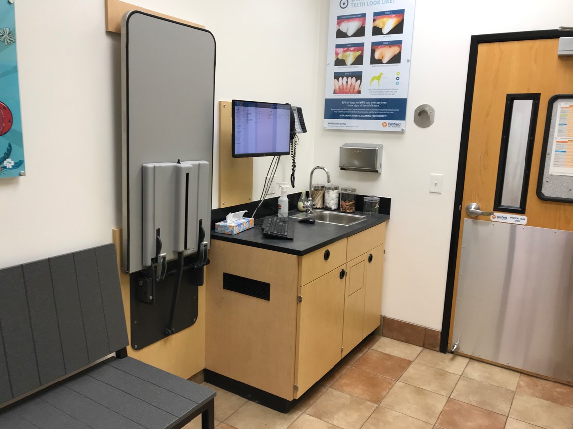 Littleton South exam room