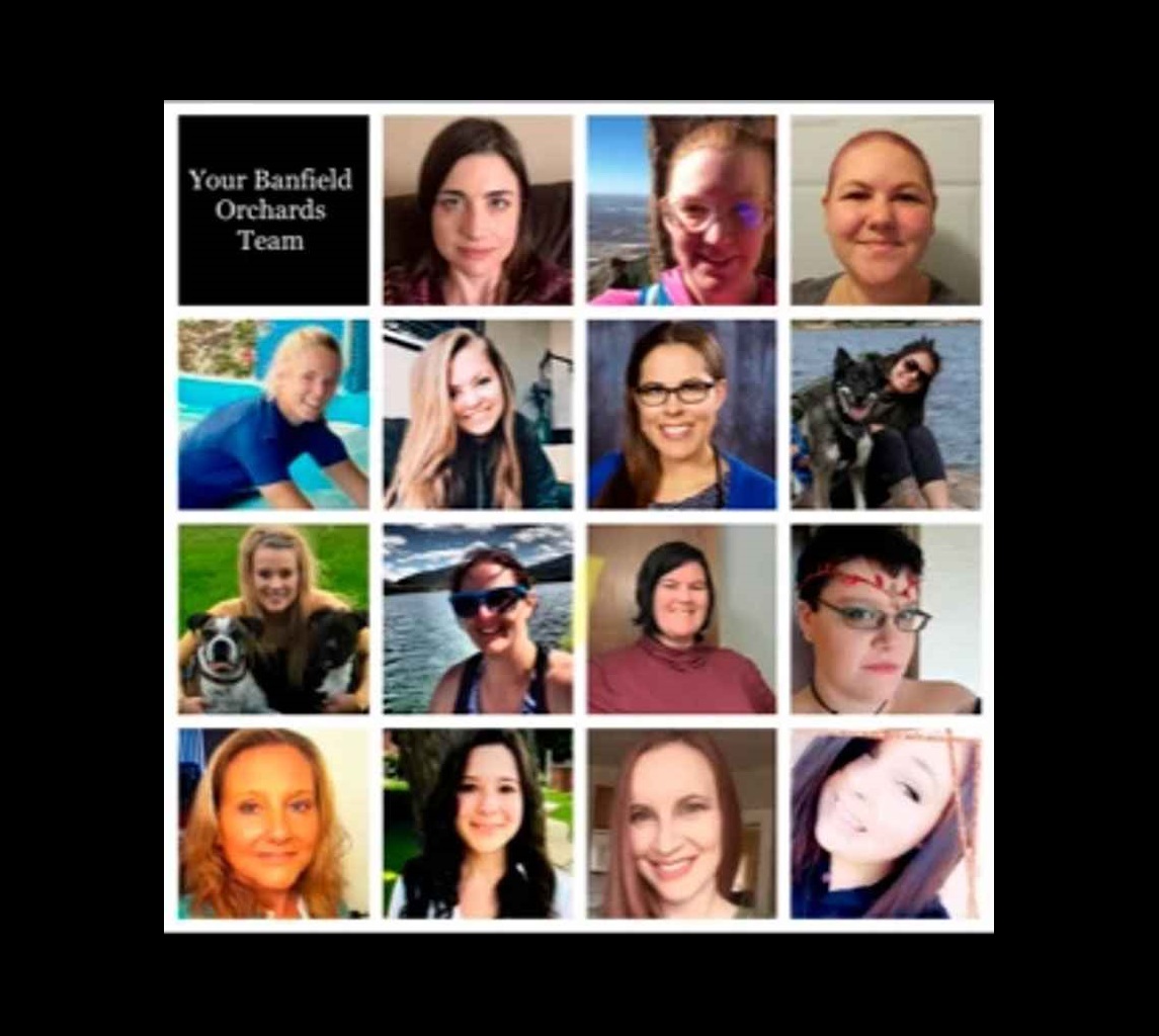A collage of Banfield Associates