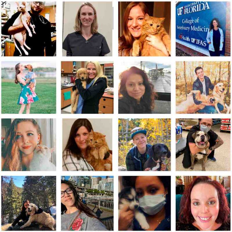 A collage of Banfield Associates