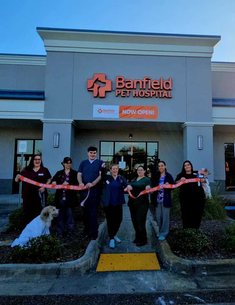 Banfield at petsmart near me sale