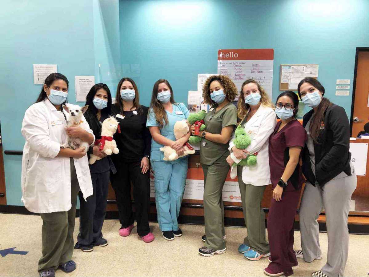 A group of Banfield Associates holding puppies at the Banfield Pet Hospital