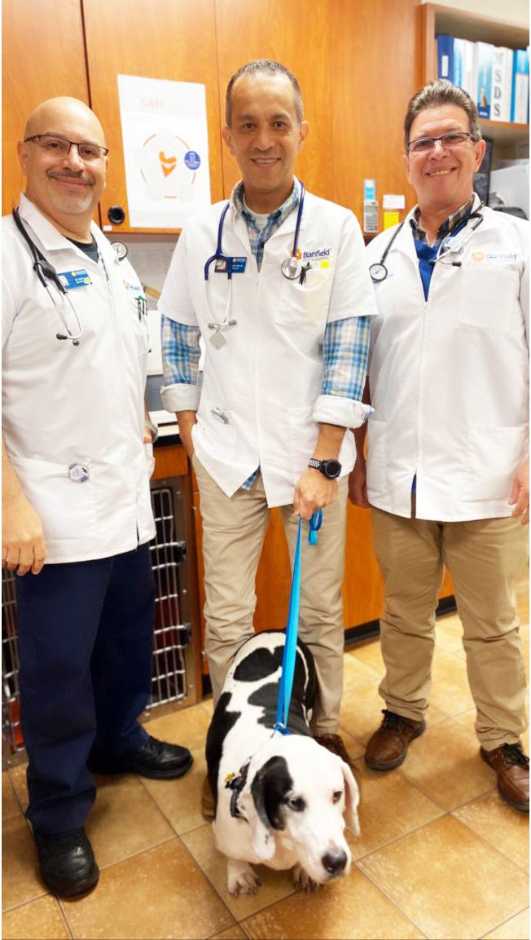 Three veterinarians holding a dog on leash at the Banfield Pet Hospital