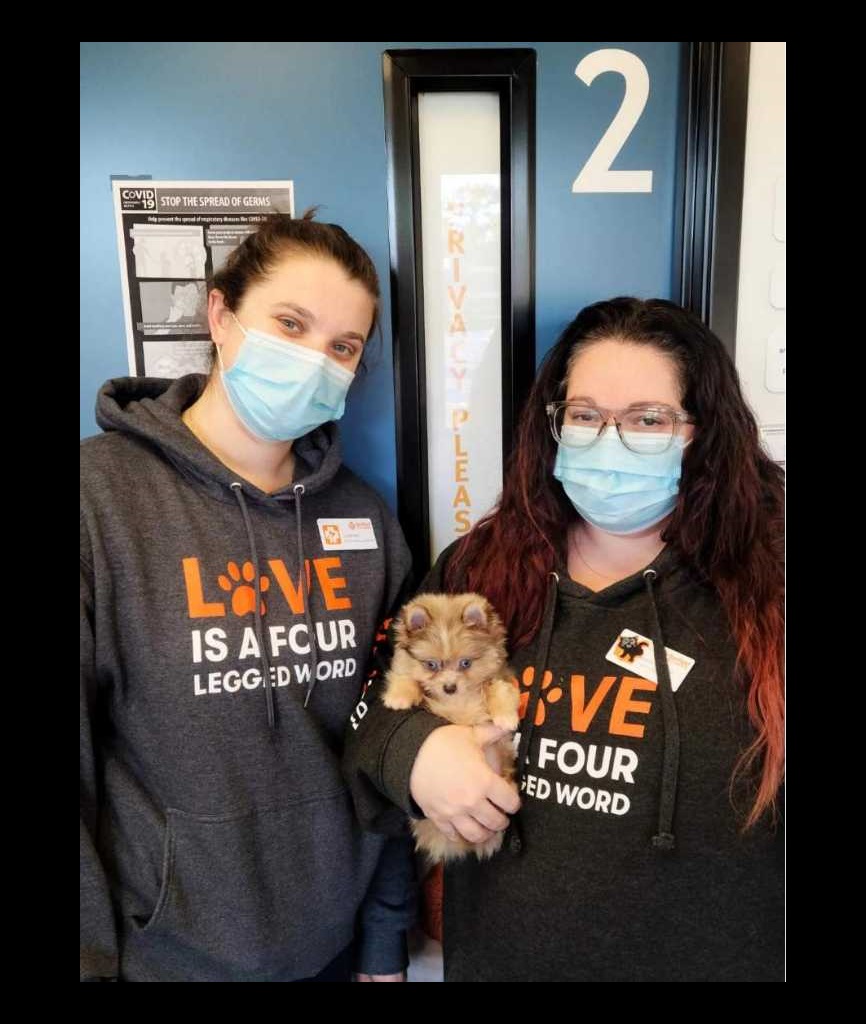 Veterinarians in Longwood, FL Veterinarians in Longwood, FL