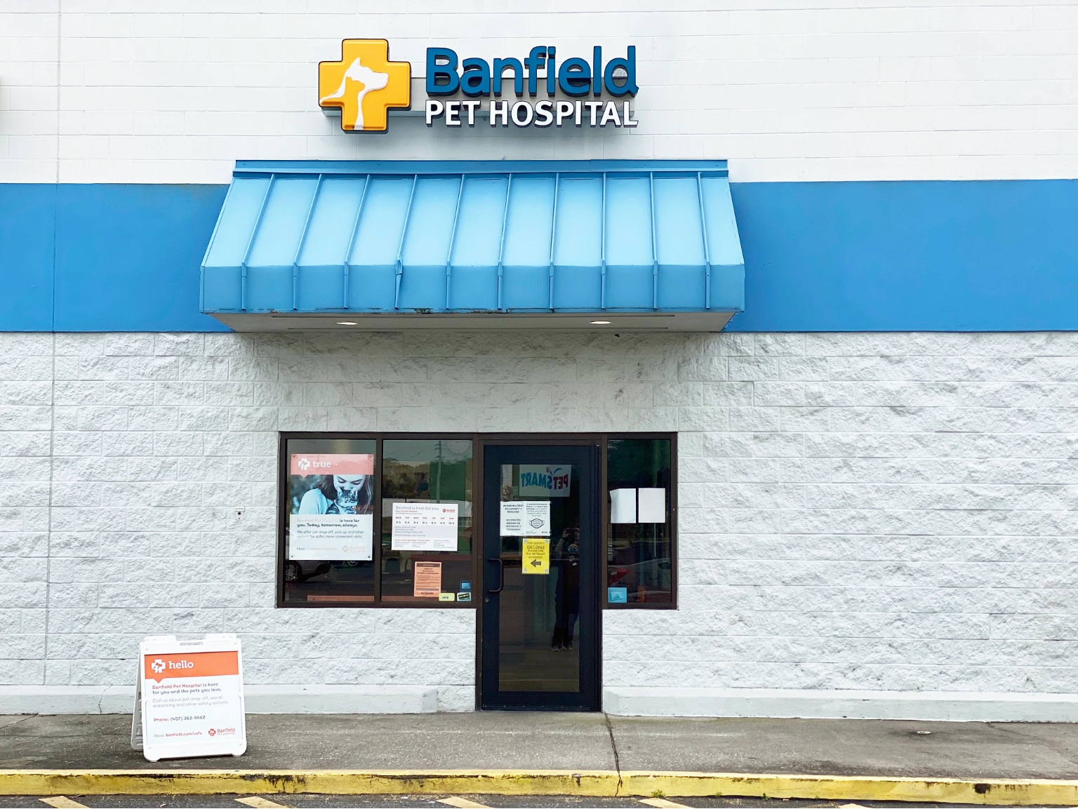 Veterinarians In Orlando E Banfield Pet Hospital