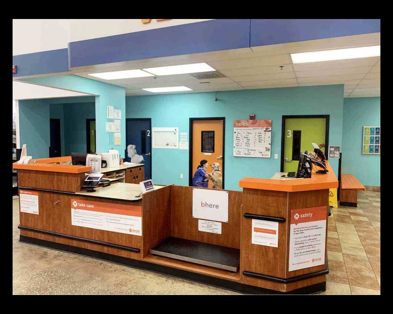 Veterinarians In Orlando S Banfield Pet Hospital