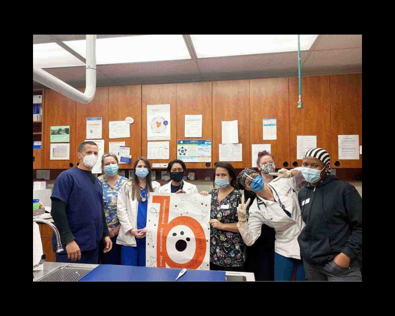 A group of Banfield Associates at the Banfield Pet Hospital