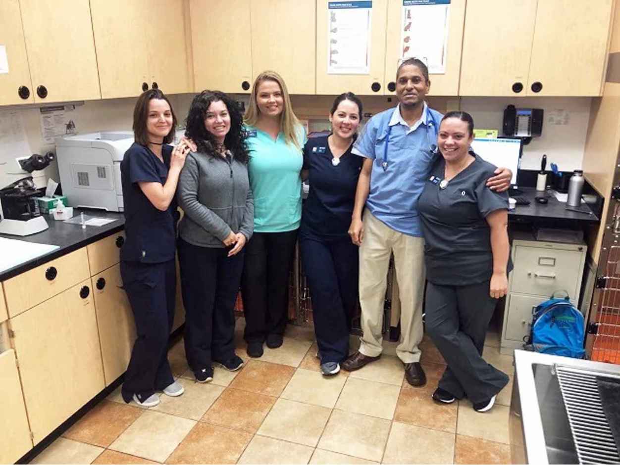 Vets in West Pembroke Pines, FL Banfield Pet Hospital