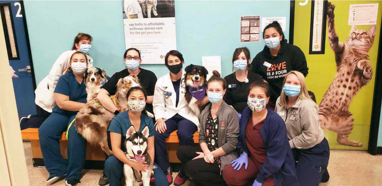 A group of Banfield Associates holding dogs at the Banfield Pet Hospital
