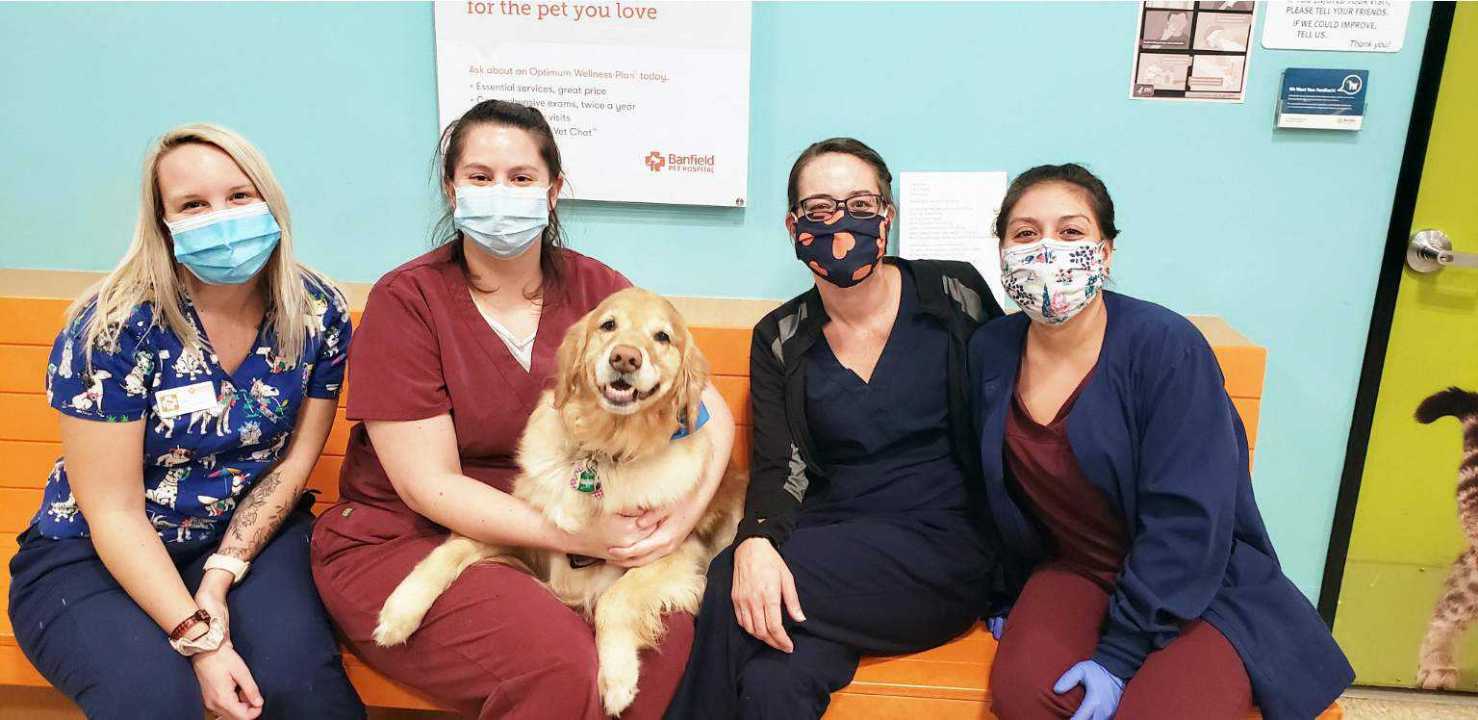 A group of Banfield Associates sitting with a dog at the Banfield Pet Hospital