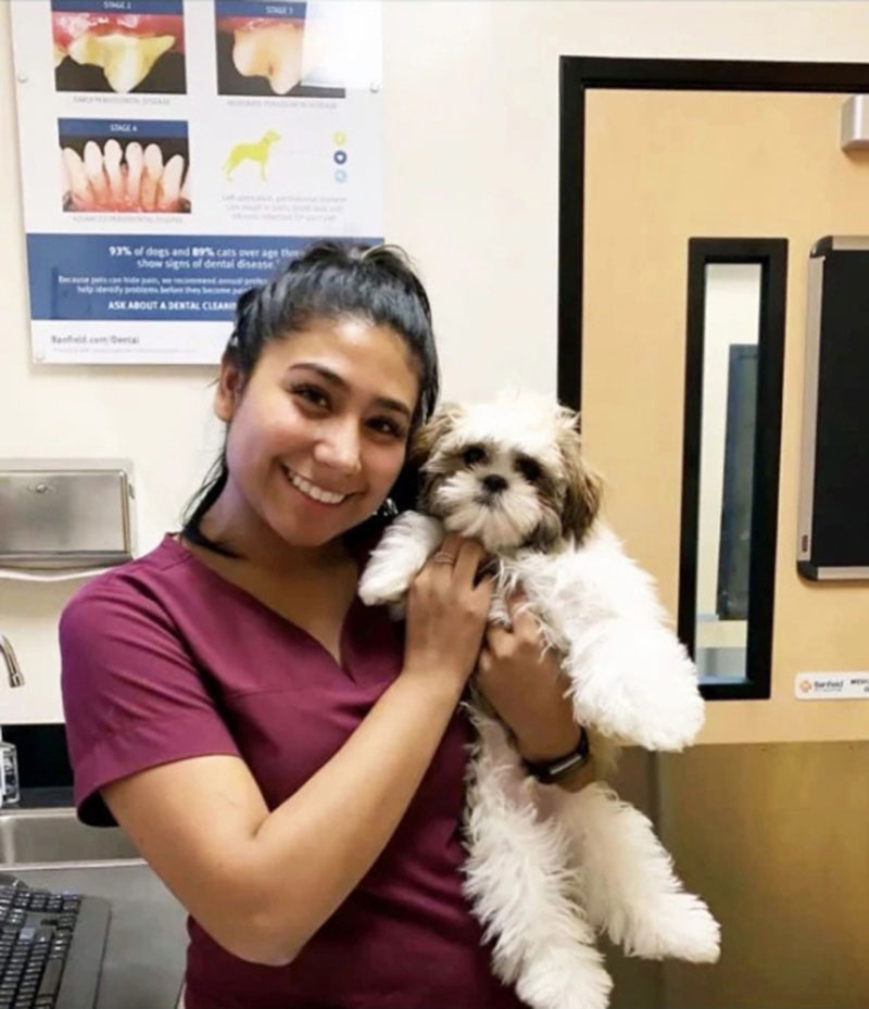 A female Banfield Associate holding a little dog at the Banfield Pet Hospital