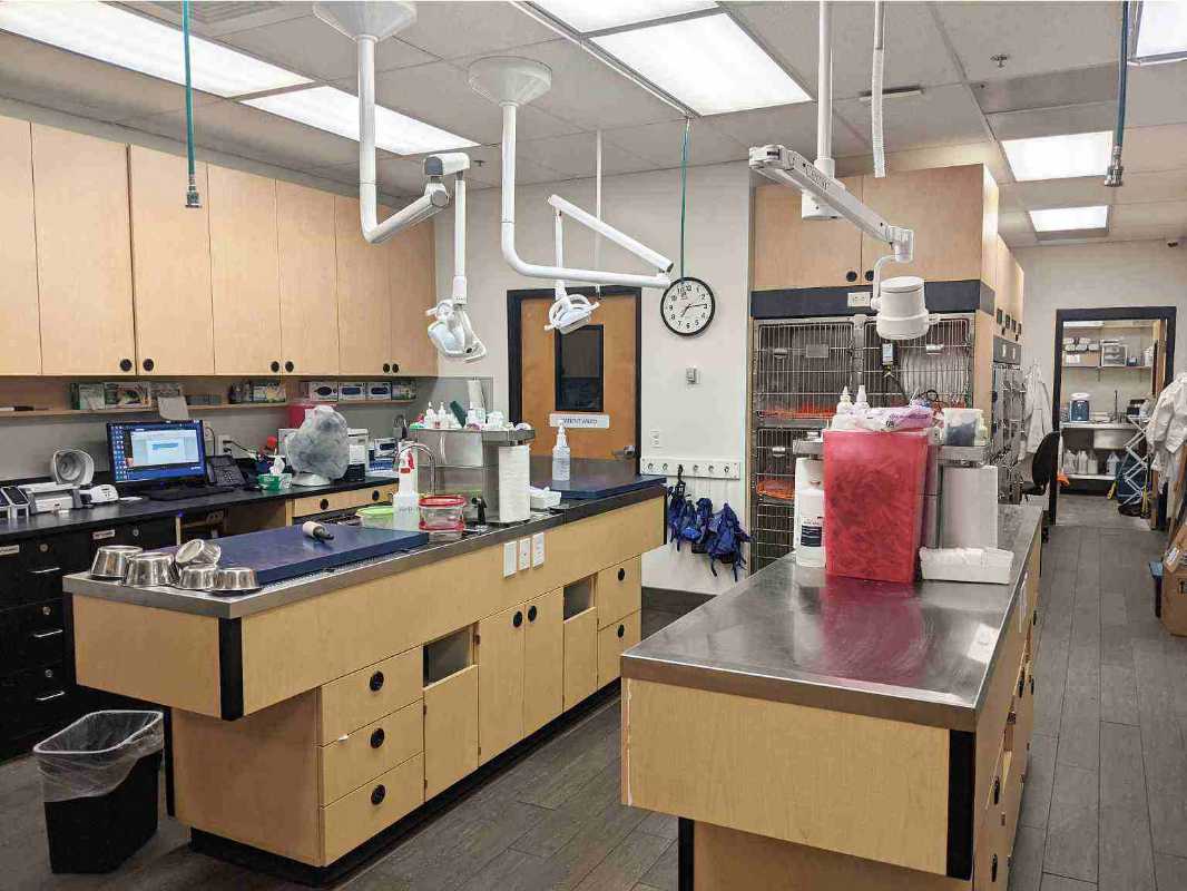 The pet examination room at the Banfield Pet Hospital