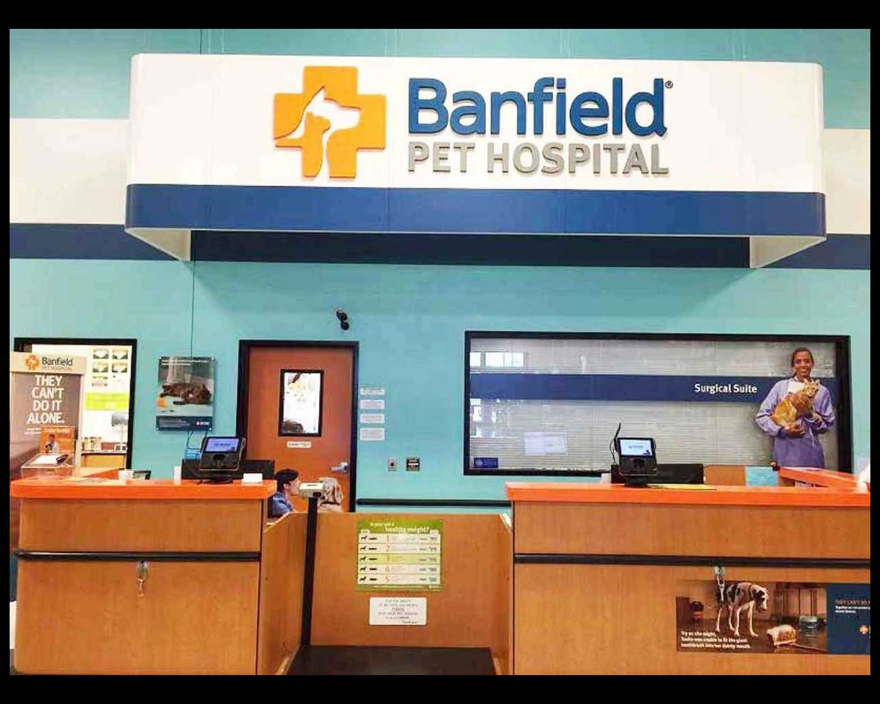 banfield pet hospital office visit cost