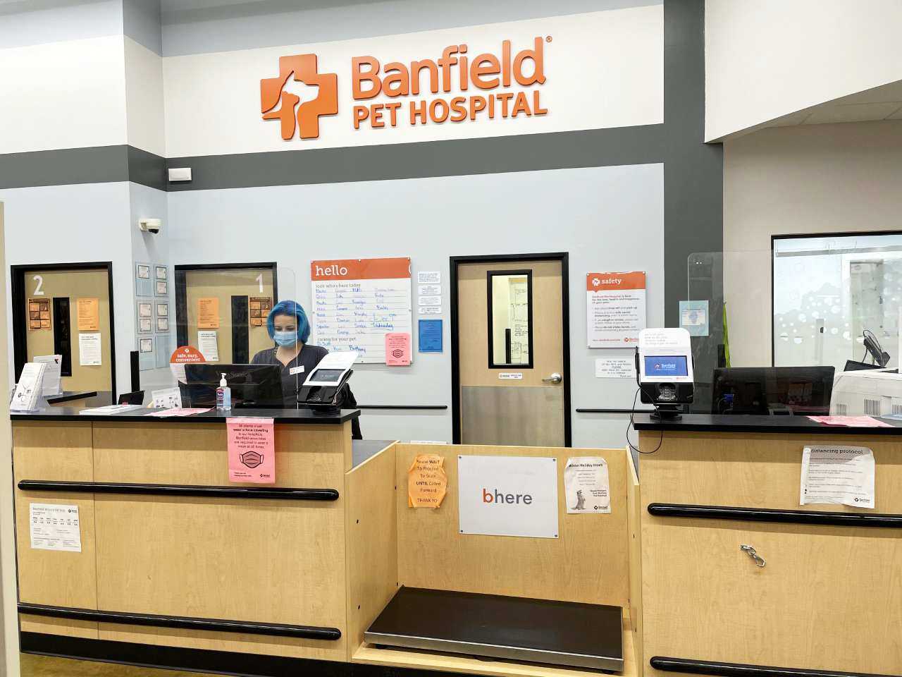 Banfield Pet Hospital Prices (Wellness Plan, Grooming + More)