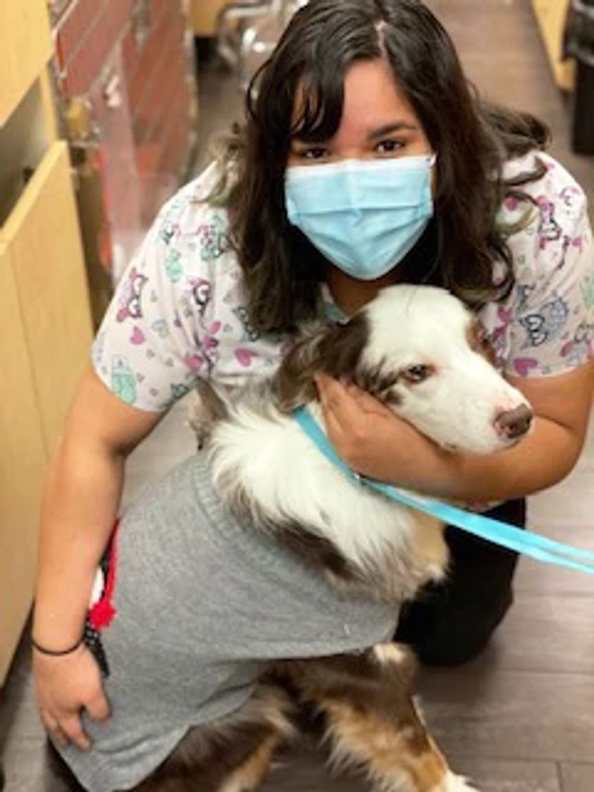A young female dog owner hugging her dog
