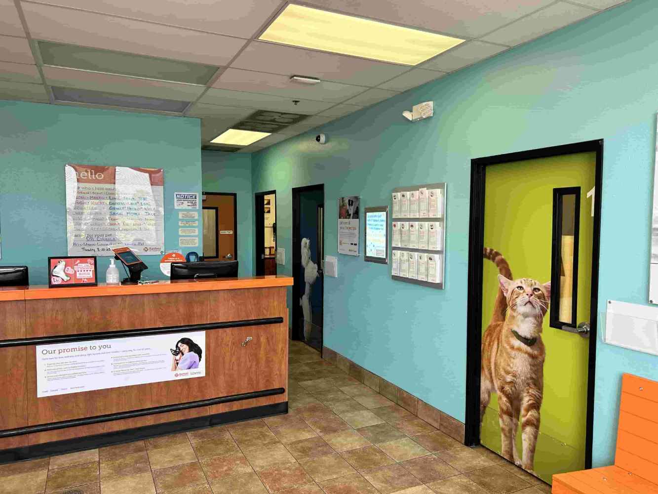 Bloomingdale Veterinarians in Bloomingdale, IL Banfield Pet Hospital®