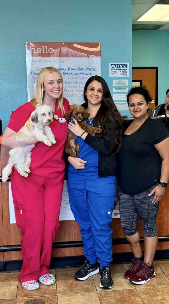 Bloomingdale Veterinarians in Bloomingdale, IL Banfield Pet Hospital®