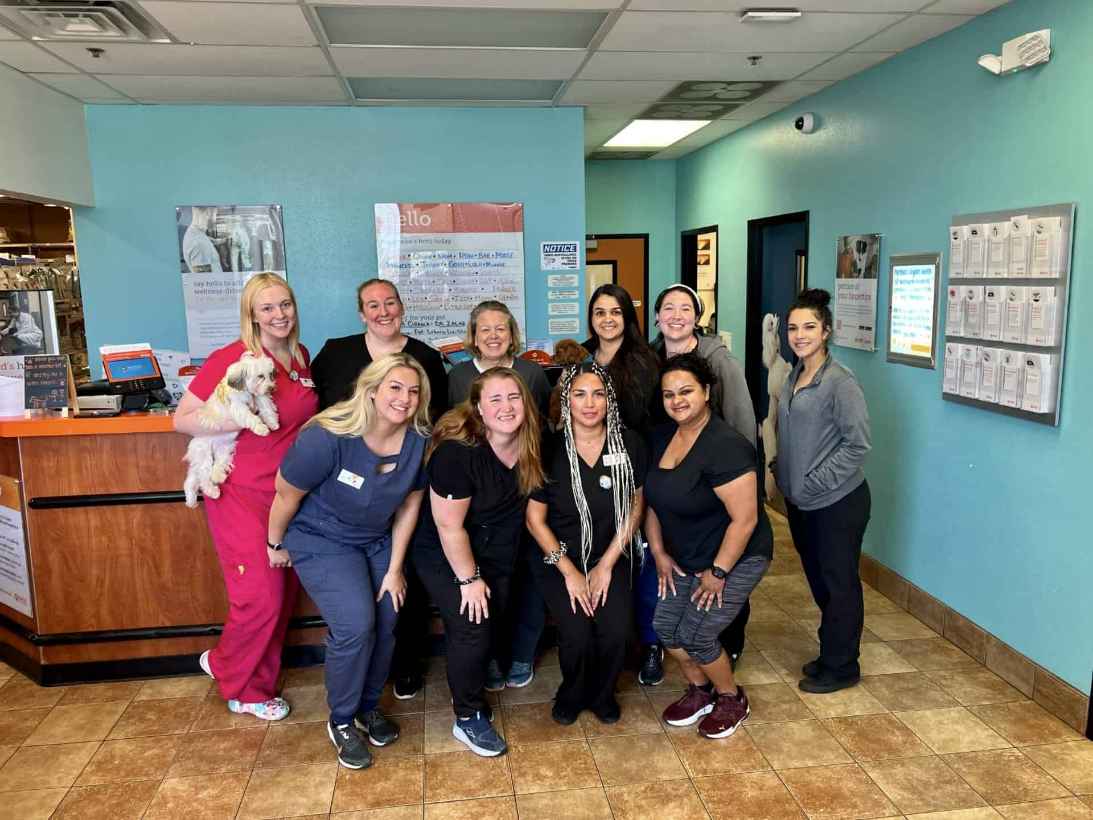 Bloomingdale Veterinarians in Bloomingdale, IL Banfield Pet Hospital®