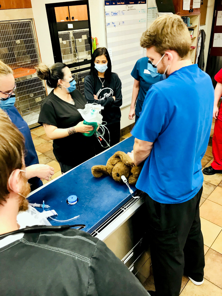 Veterinarians in Olathe, KS Banfield Pet Hospital