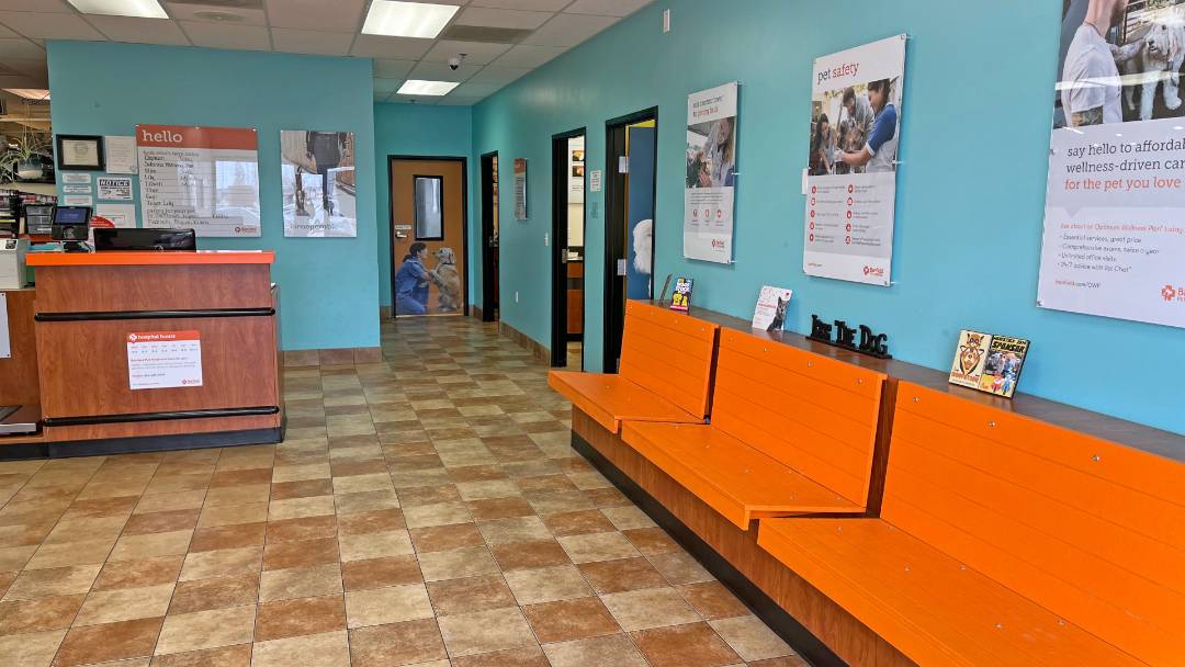 Veterinarians in East Wichita, KS Banfield Pet Hospital®