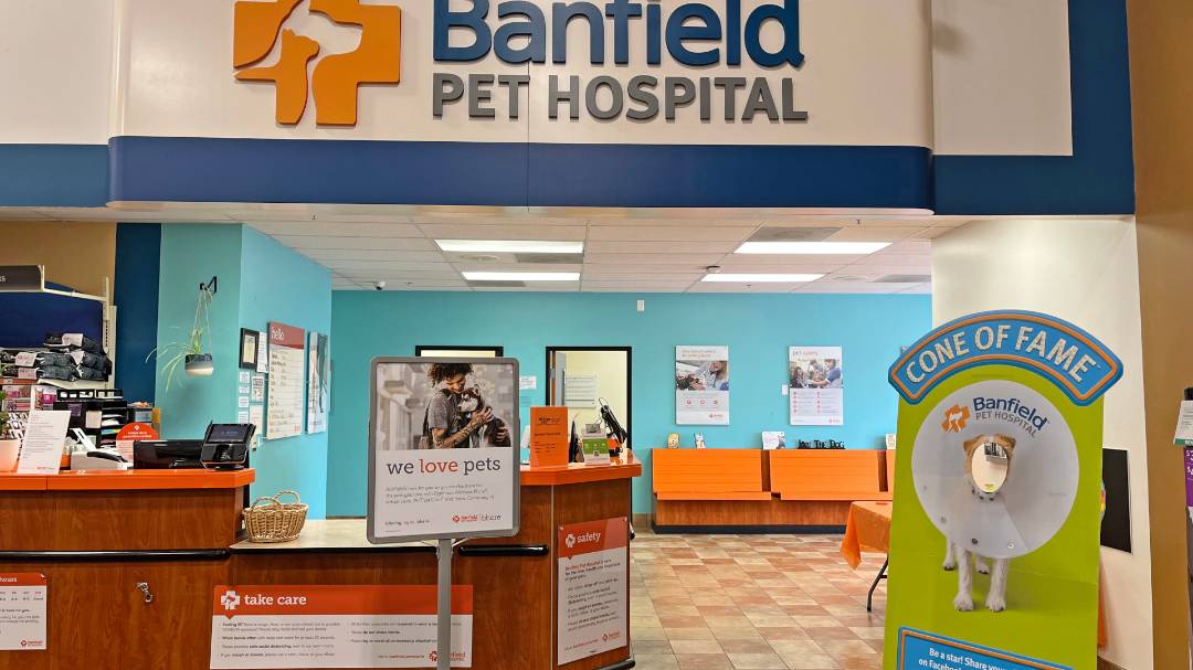 Banfield Pet Insurance