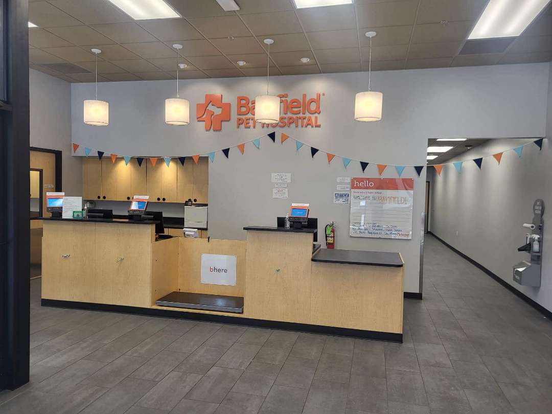 Local vet care in New Orleans, LA Banfield Pet Hospital®