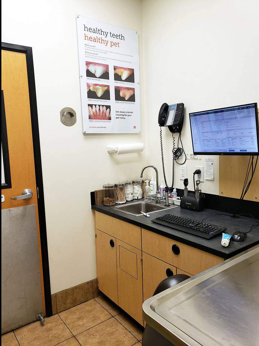 Veterinarians in Anoka, MN Banfield Pet Hospital