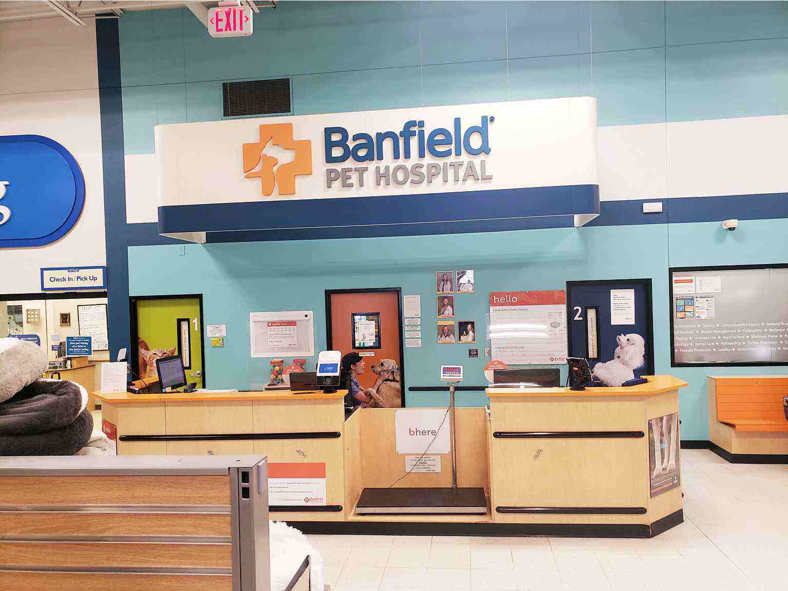 Banfield in petsmart near me Clearance