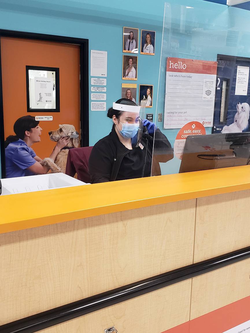 Veterinarians in Anoka, MN Banfield Pet Hospital