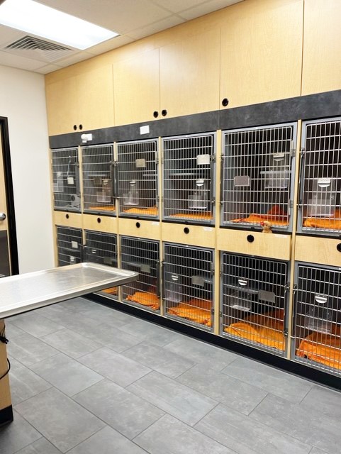 Veterinarians in Anoka MN