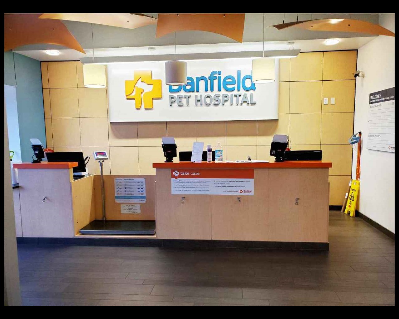 Banfield Pet Hospital Prices (Wellness Plan, Grooming + More)