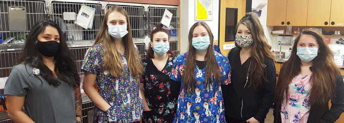 A group of Banfield Associates at the Banfield Pet Hospital