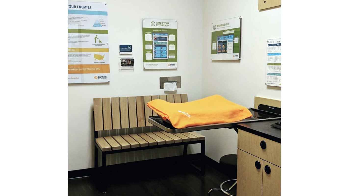 The inside of an exam room