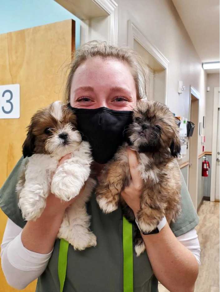 A female associate holding a couple of puppies at the Banfield Pet Hospital, Yadkin Park, NC