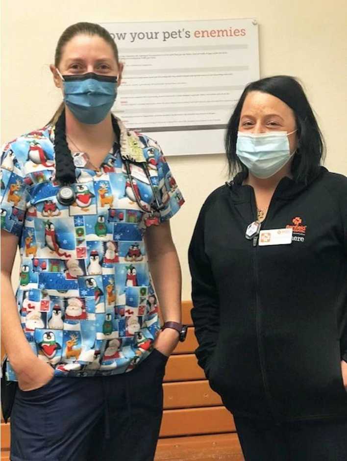 A couple of female veterinarians at the Banfield Pet Hospital, Concord , NC