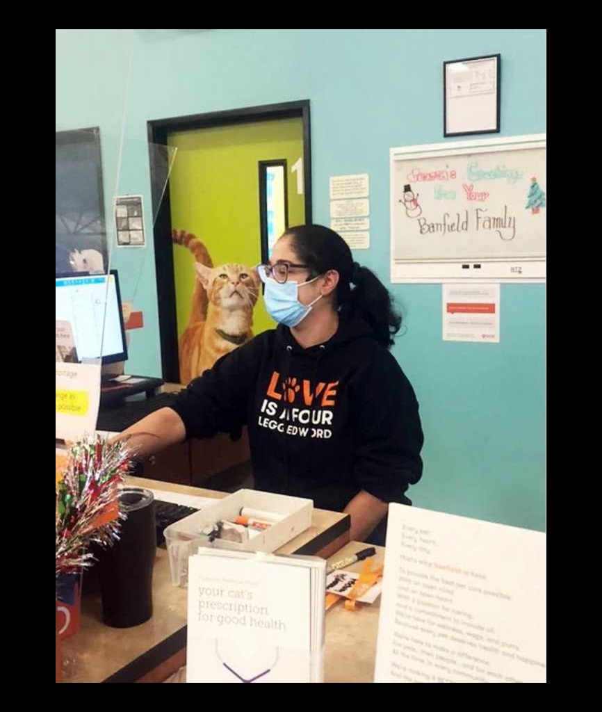 Vets In Fayetteville NC Skibo Rd Banfield Pet Hospital vets-in-fayetteville-nc-skibo-rd-banfield-pet-hospital